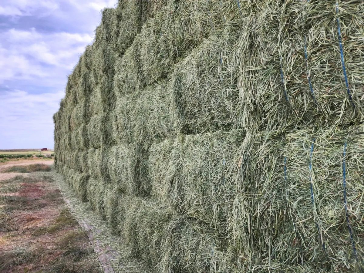 Newfia agricultural products